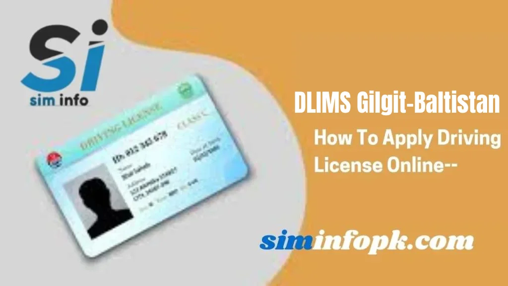 DLIMS Gilgit-Baltistan Driving License Online Verification